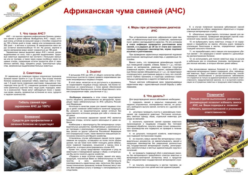 Памятка для населения: рекомендации по предупреждению распространения африканской чумы свиней среди диких кабанов